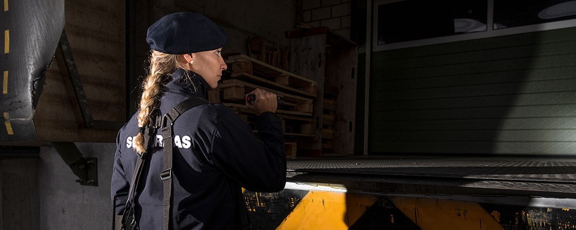 Revierbewachungsspezialist/in Raum Solothurn / Olten / Mägenwil, 2. Bild