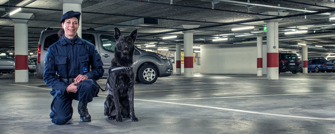 Conducteur de chien - Maître-chien - Agent cynophile (m/f/d) à 70%, 2. portrait