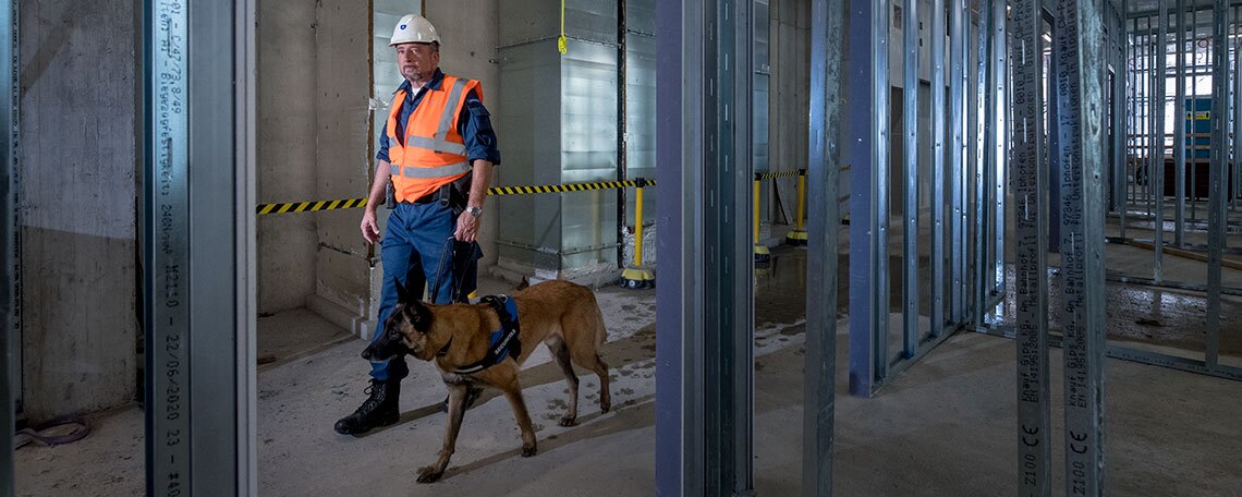 Conducteur de chien - Maître-chien - Agent cynophile (m/f/d) à 70%, 3. portrait