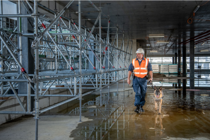 Allrounder Baustellenaufsicht Grossbaustelle (m/w/d) – Region Brienz, 3. Bild